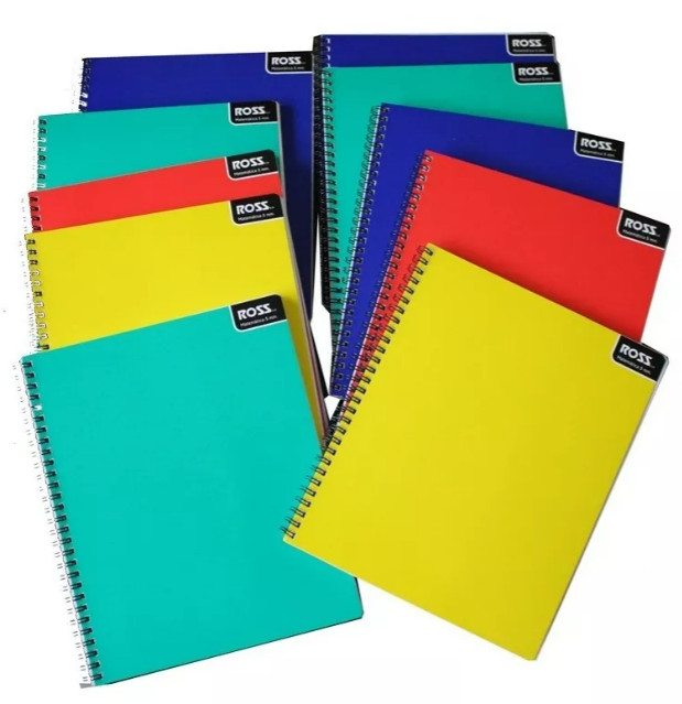 Cuaderno Universitario Croquis 100 Hojas